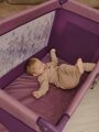 Манеж-кровать Amarobaby MULTIFORM (Flowers) прямоугольный, фиолетовый